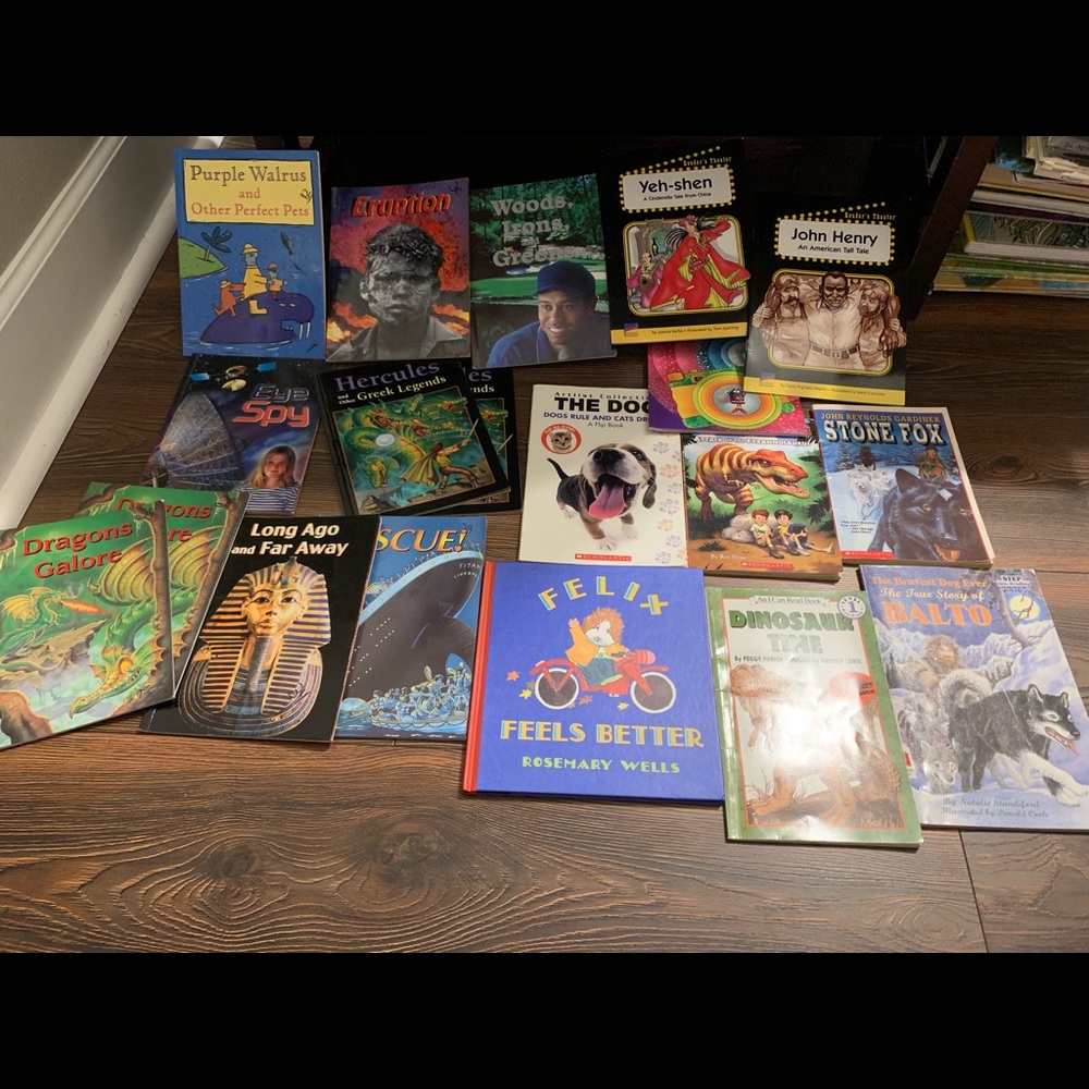 19 kid books bundle 2-3 grade level scholastic